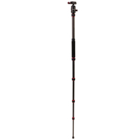 Calumet Stativ Compact Carbon 235