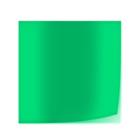 Lee Farbfilterfolie 54 x 61 cm Nr. 124 - Dark Green