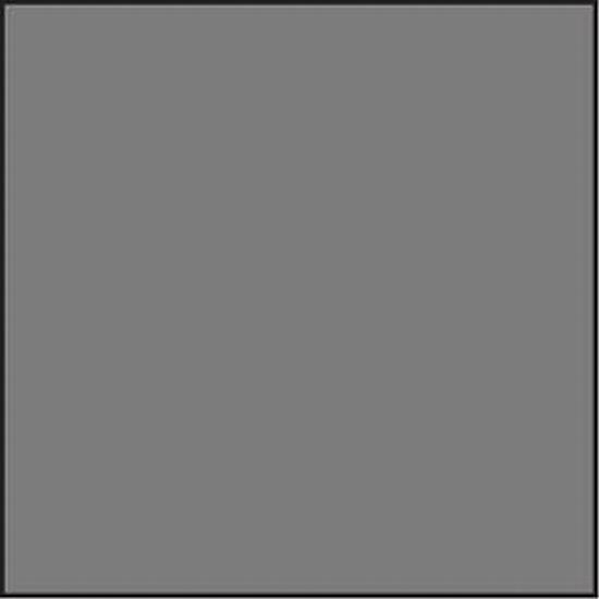 Lee SW150 Filter ND 0.6 Standard