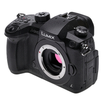 Panasonic LUMIX DC-GH5 gebraucht