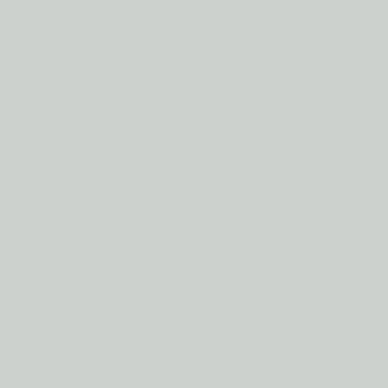 Calumet Hintergrundkarton Platinum (1,35 x 11m Rolle)