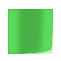 Lee Farbfilterfolie 54 x 61 cm Nr. 089 - Moss Green