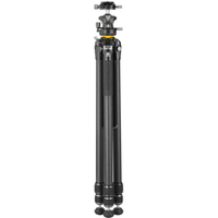Vanguard Carbonstativ mit Kugelkopf ALTA PRO 3 303CLBPS