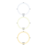 Joby Beamo Ring Light 12 Zoll