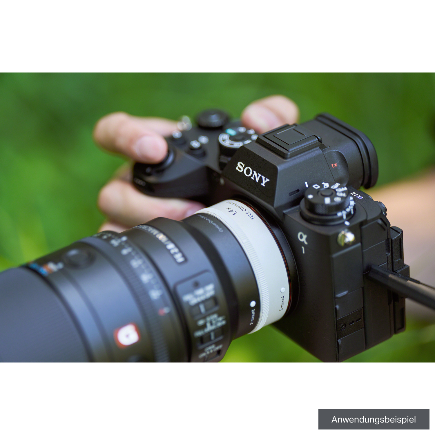 Sony FE 100mm F2.8 Makro GM OSS
