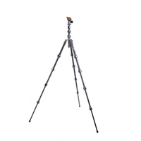 3 Legged Thing Pro 2.0 Albert Carbon grau