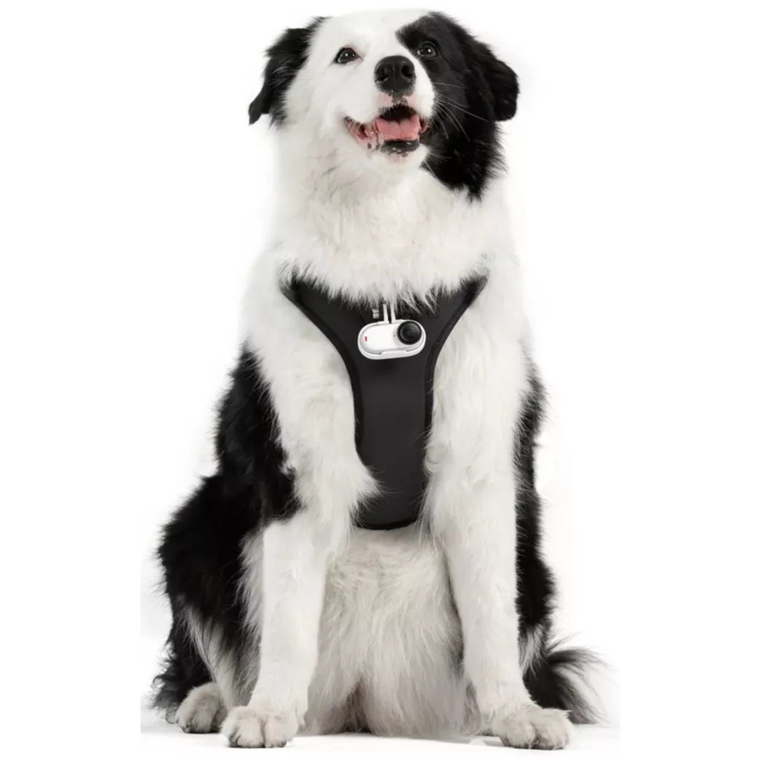 Insta360 Pet Harness Mount Size L