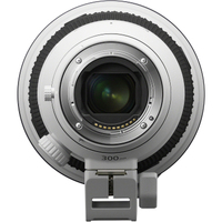 Sony FE 300mm F2.8 G Master OSS mit SEL-20TC 2.0x Telekonverter
