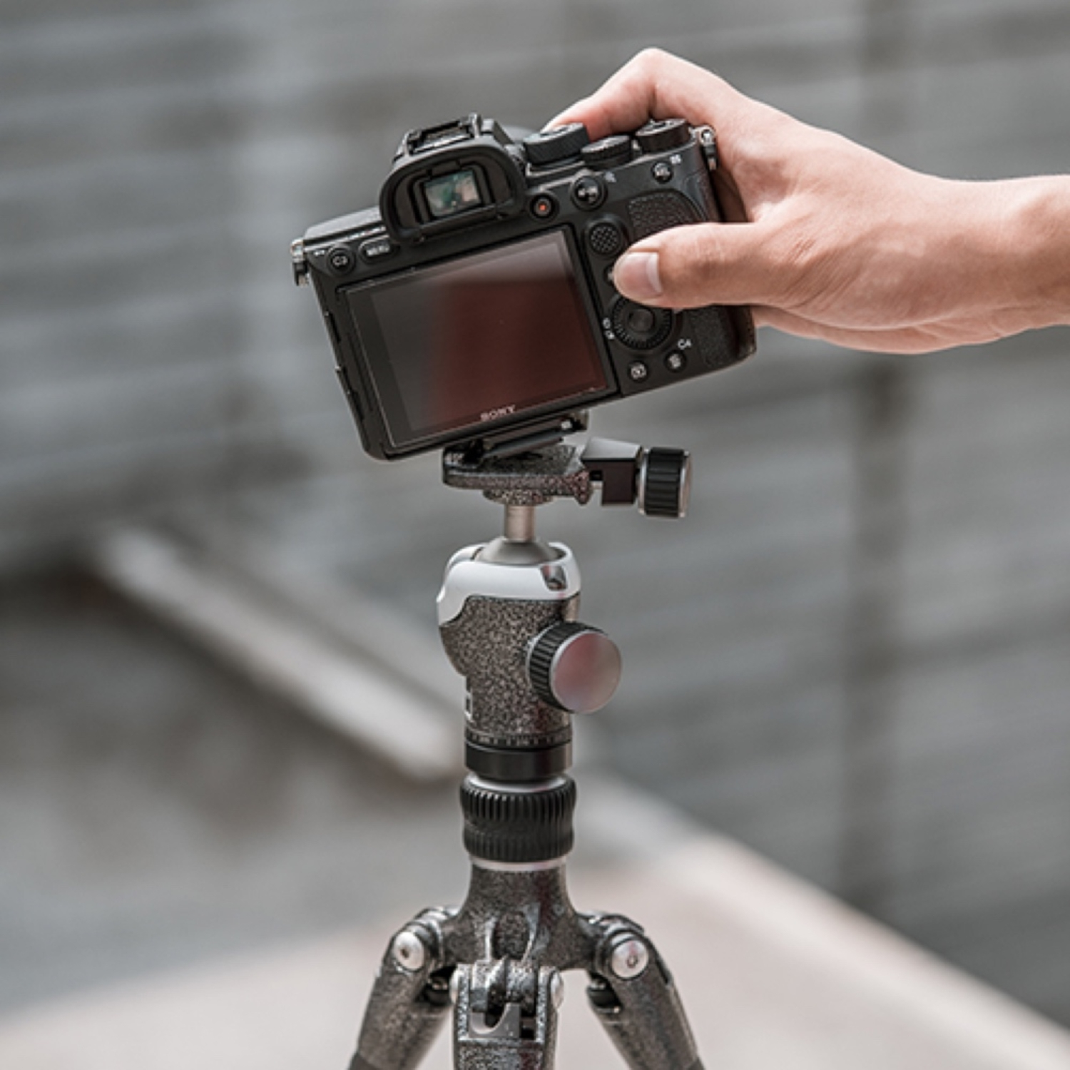 PGYTECH Beetle Kamera Clip