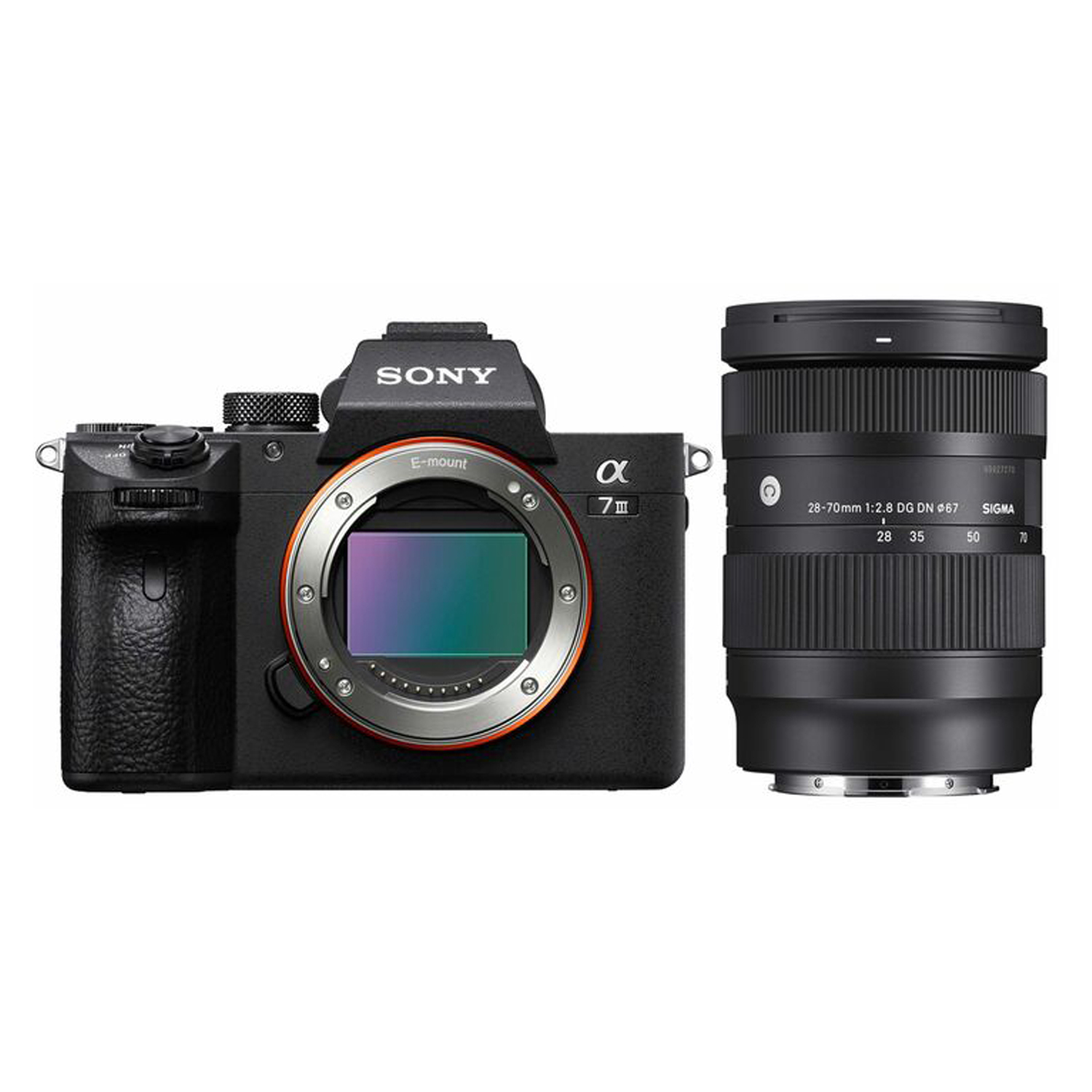 Sony Alpha 7 III mit Sigma 28-70mm F2.8 DG DN Contemporary