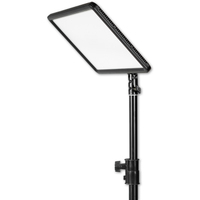 Godox LEDP260C Duo Tripod Kit