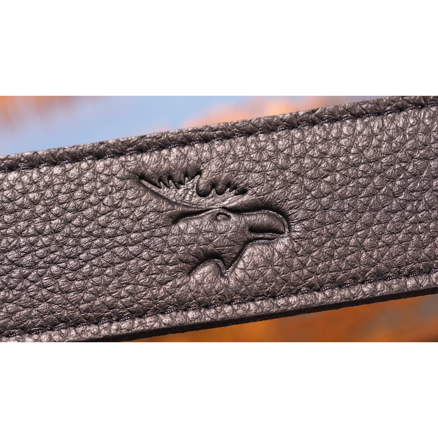 EDDYCAM Kameragurt EASY-II 45mm schwarz