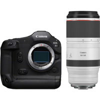 Canon EOS R1 mit RF 100-500mm F4.5-7.1L IS USM