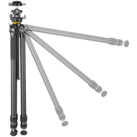 Vanguard Carbonstativ mit Kugelkopf ALTA PRO 3 303CLBPS
