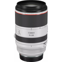 Canon EOS R6 Mark II mit RF 70-200mm F2.8L IS USM