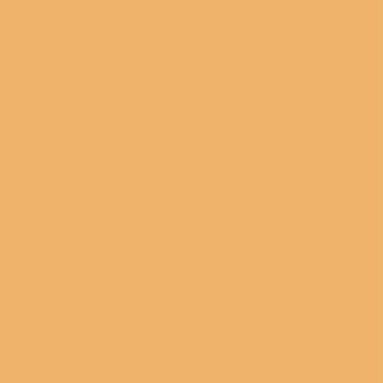 Lee Farbfilterfolie 54 x 61 cm Nr. 207 - Full CT Orange - 0,3 ND
