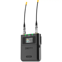 Deity THEOS D2RX Dual-Channel Wireless