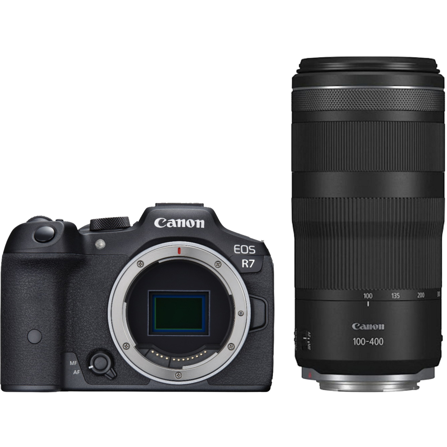 Canon EOS R7 mit RF 100-400mm F5.6-8 IS USM