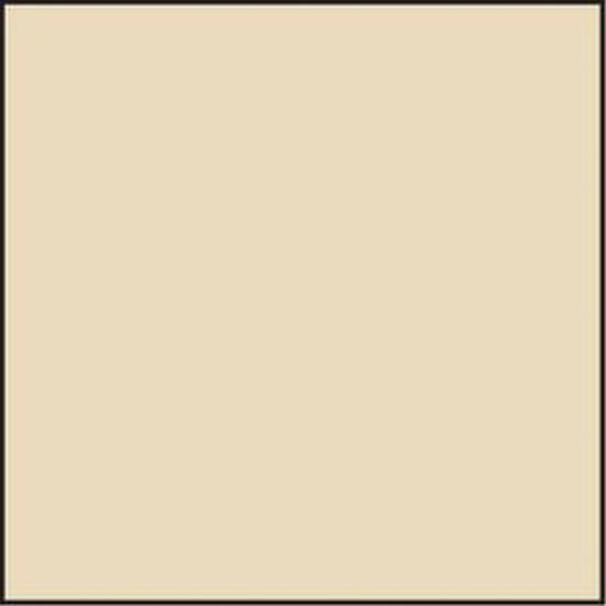 Lee Resin CT-Filter 100 x 100mm 81C
