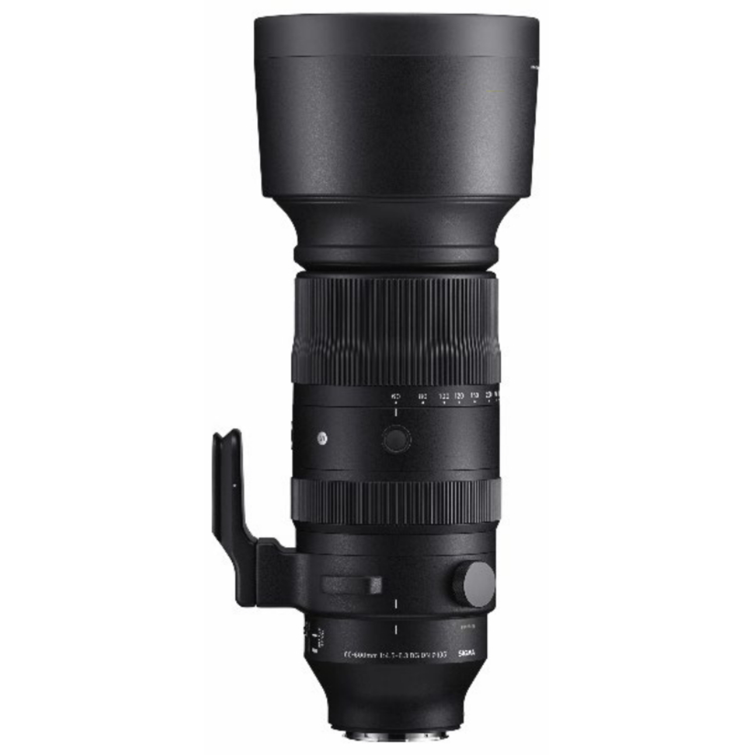 Sigma 60-600mm F4.5-6.3 DG DN OS Sports für L-Mount