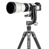 Benro GH5CMini Carbon Gimbal Kopf inklusive Wechselplatte