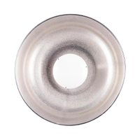 Bowens Beauty Dish