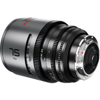 DZOFILM PAVO 2X ANAMORPHIC 3-Lens Kit 28/40/75mm T2.1 Gold Neutral Coating Imperialfür PL/EF-Mount