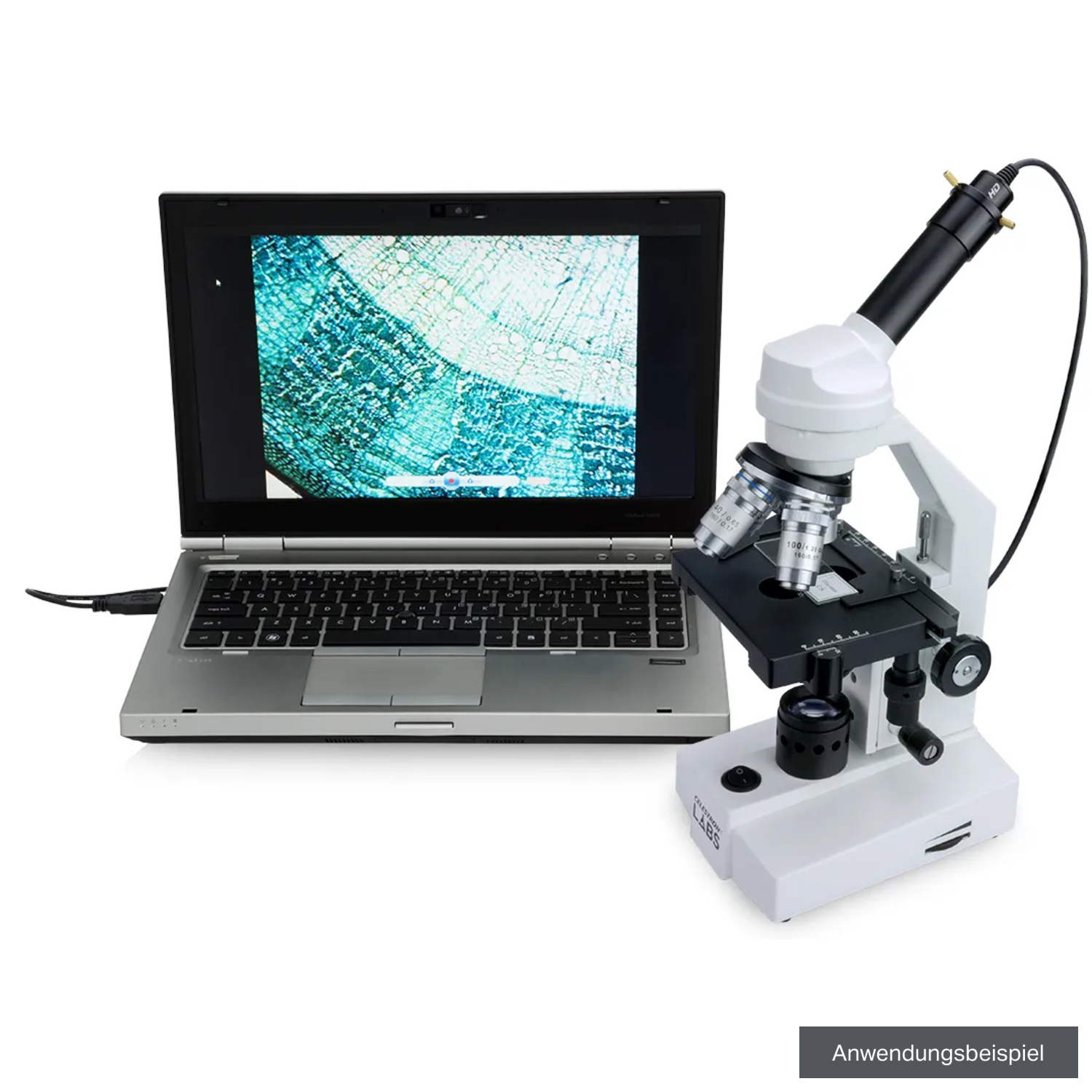 Celestron Mikroskop Kamera HD 5MP