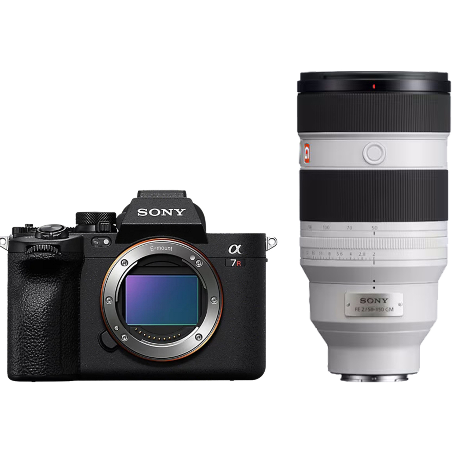 Sony Alpha 7R V mit FE 50-150mm F2 G Master weiß