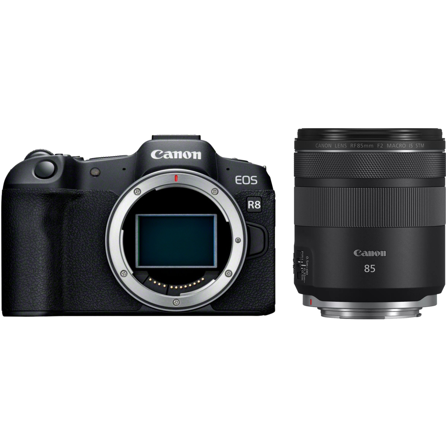 Canon EOS R8 mit RF 85mm F2 Macro IS STM