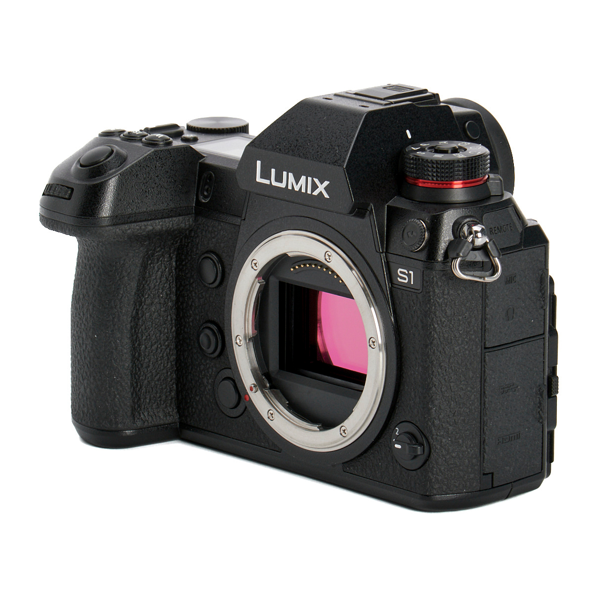 Panasonic LUMIX DC-S1 gebraucht