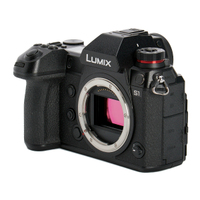 Panasonic LUMIX DC-S1 gebraucht