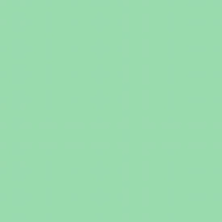Lee Farbfilterfolie 54 x 61cm Nr. 219 Fluorescent Green