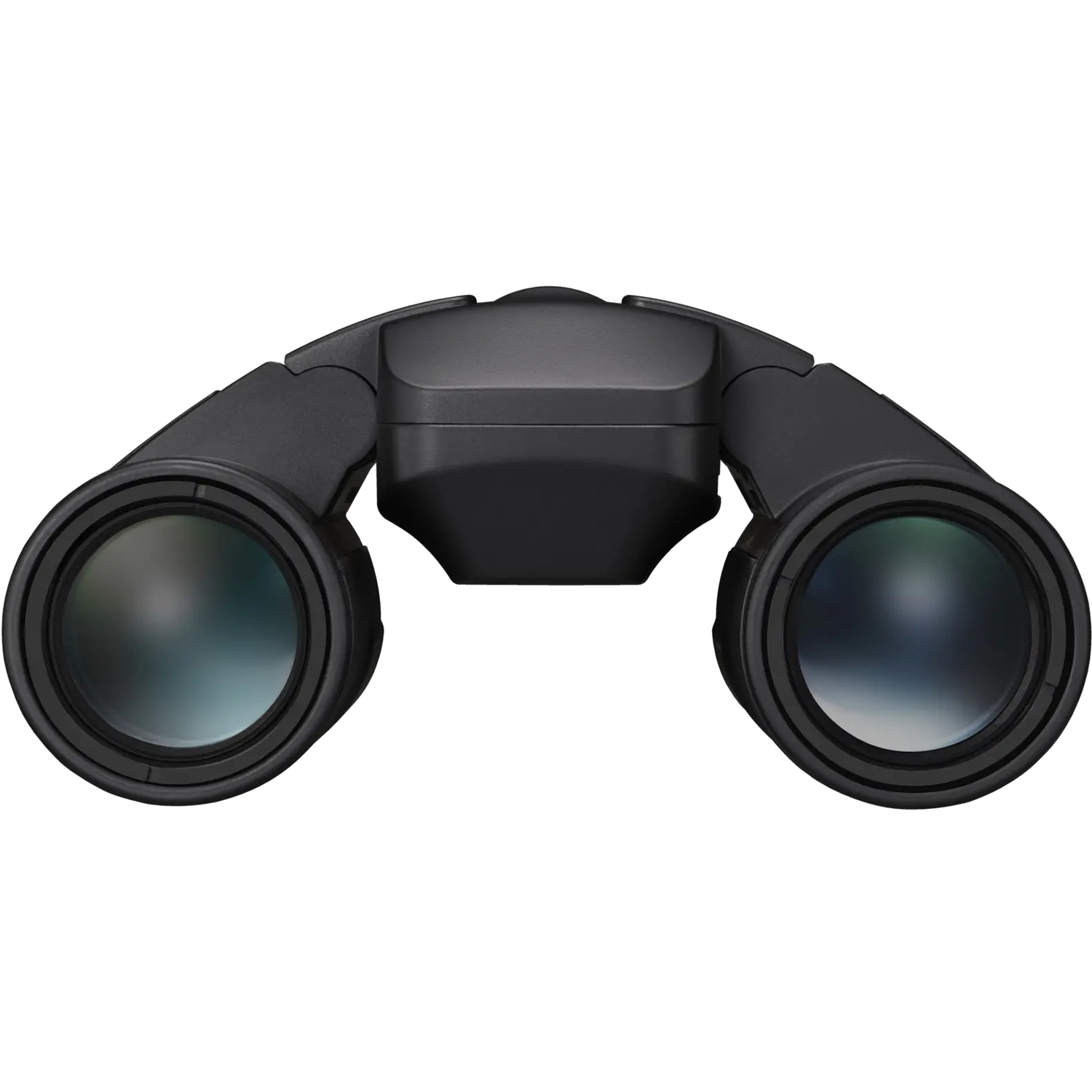 Nikon STABILIZED 12x25