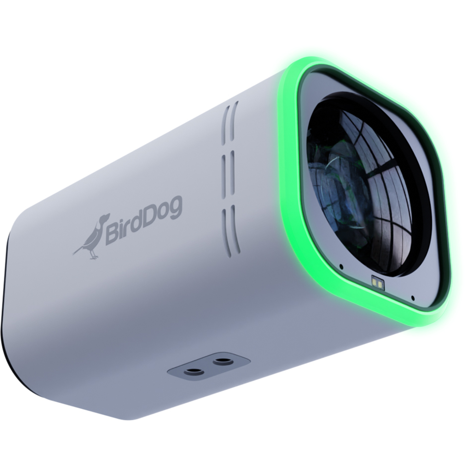 BirdDog MAKI Ultra 12x Zoom weiß