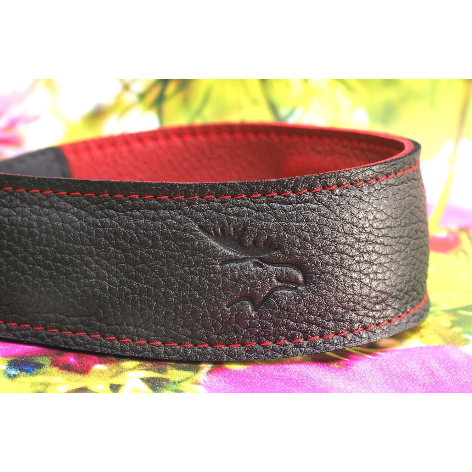 EDDYCAM Kameragurt 50mm schwarz-rot