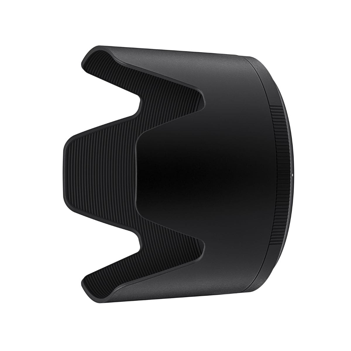 Nikon NIKKOR Z 100-400mm F4.5-5.6 VR S