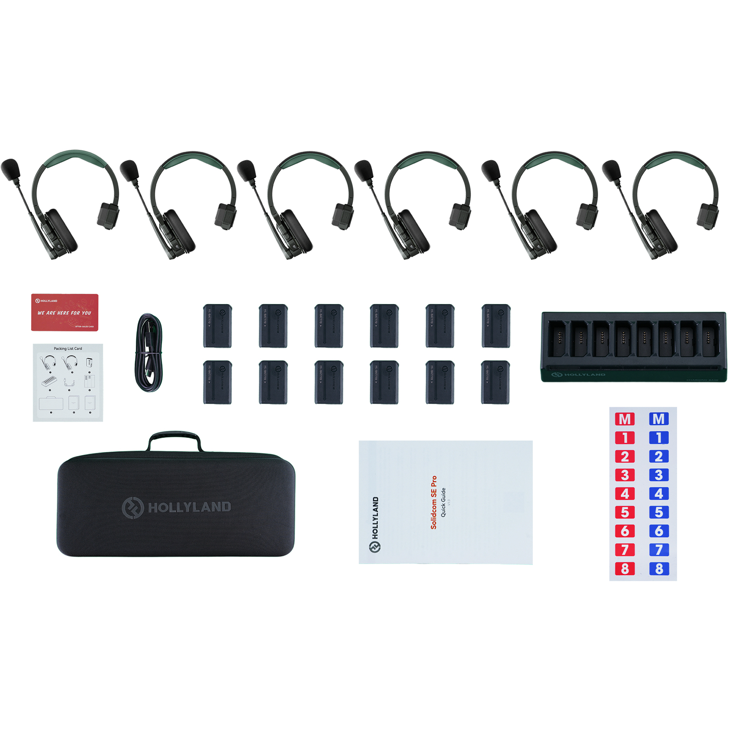 Hollyland Solidcom SE Pro 6S