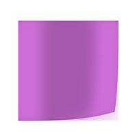 Lee Farbfilterfolien 345 54x61cm Fuchsia Pink