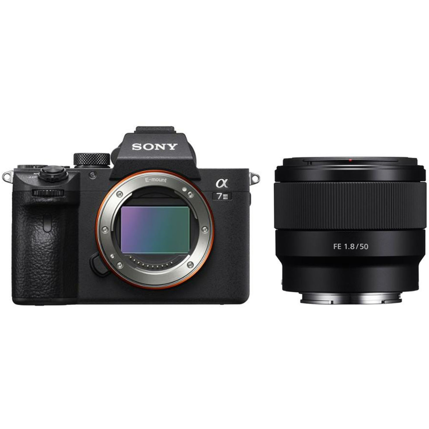 Sony Alpha 7 III mit FE 50mm F1.8