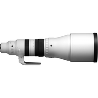 Sigma 300-600m F4 DG OS Sports für L-Mount