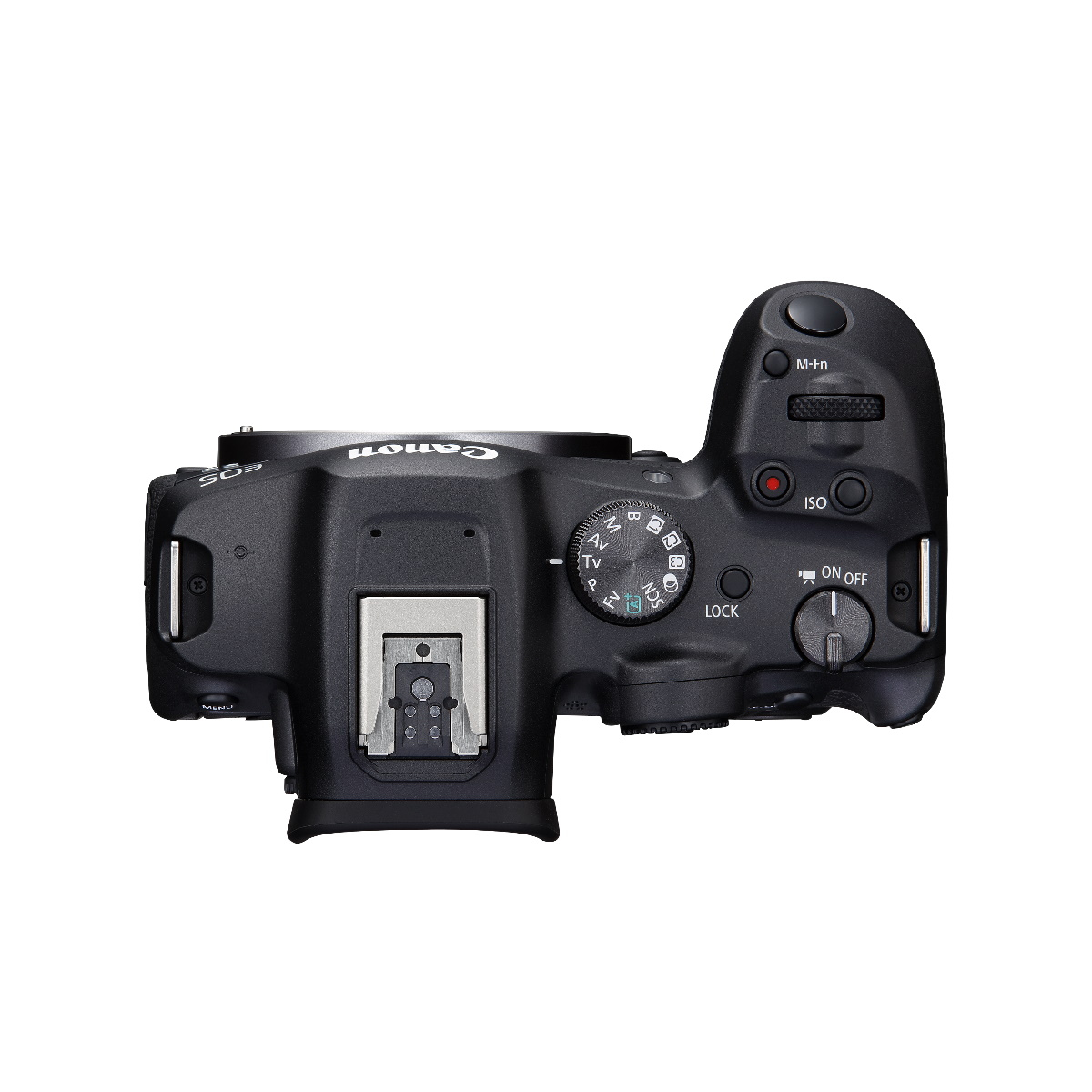 Canon EOS R7 mit RF 100-400mm F5.6-8 IS USM