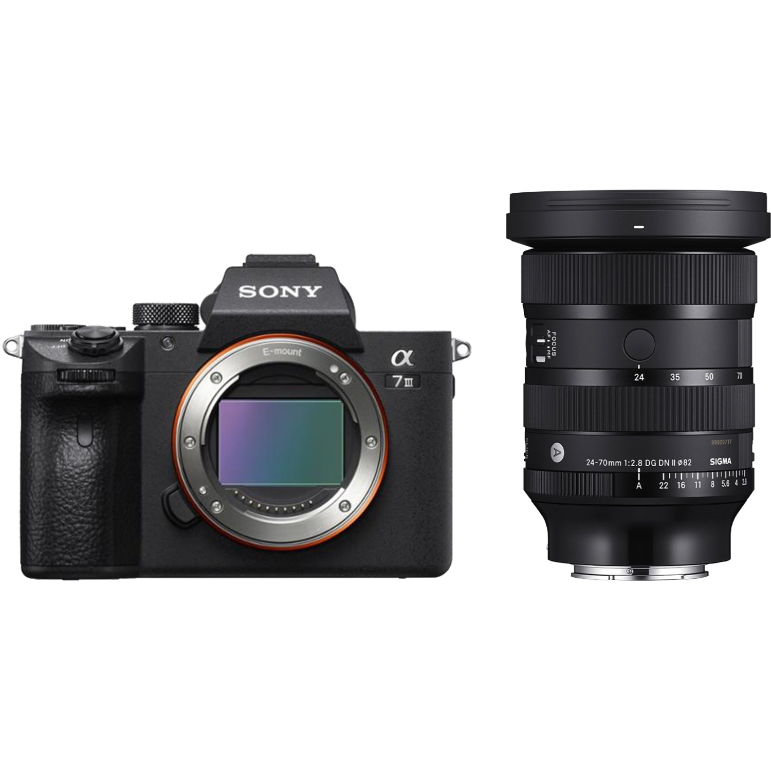 Sony Alpha 7 III mit Sigma 24-70mm F2.8 DG DN II Art