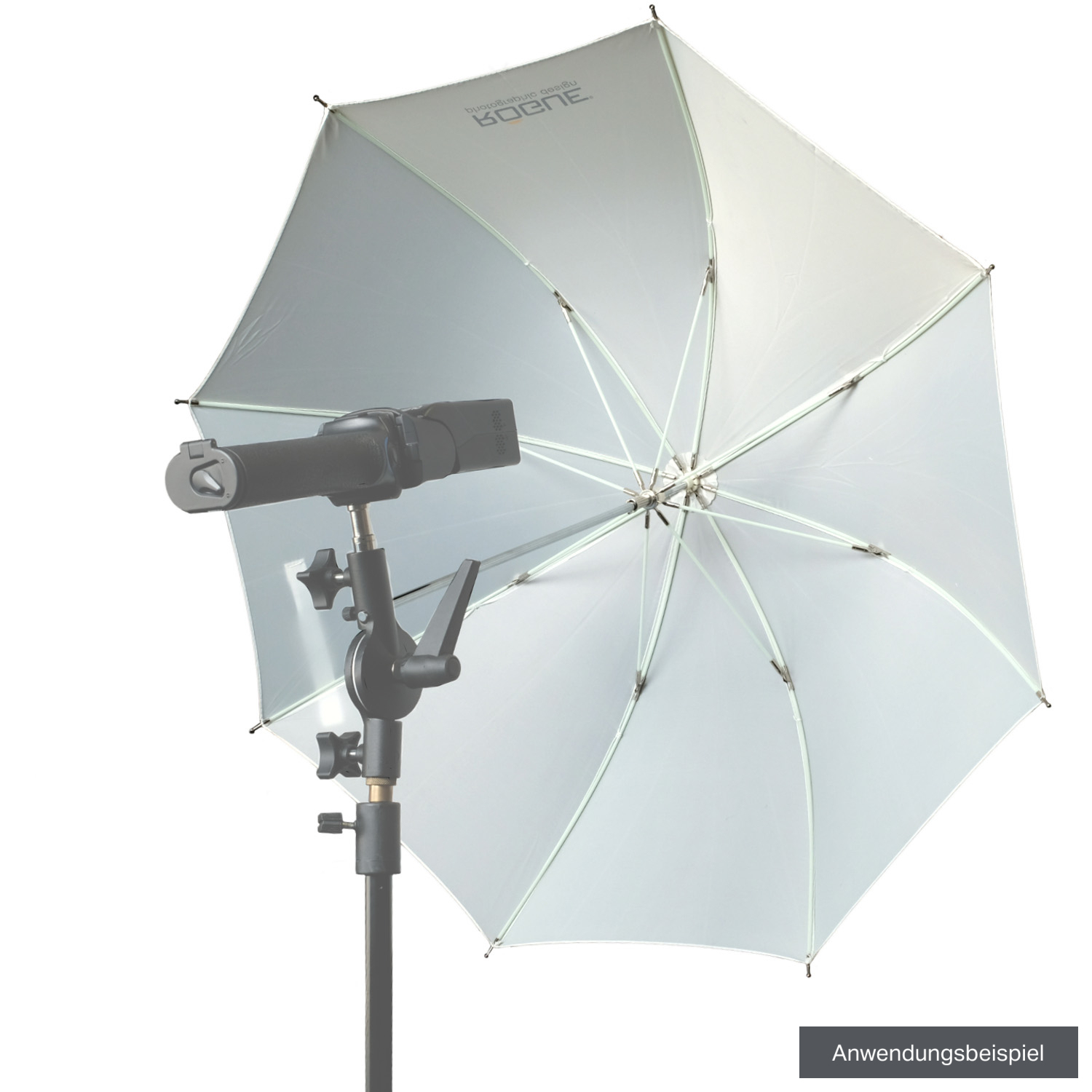 Rogue Durchlichtschirm 32 Zoll weiß