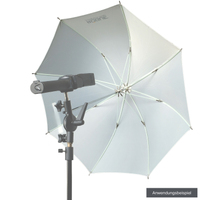 Rogue Durchlichtschirm 32 Zoll weiß