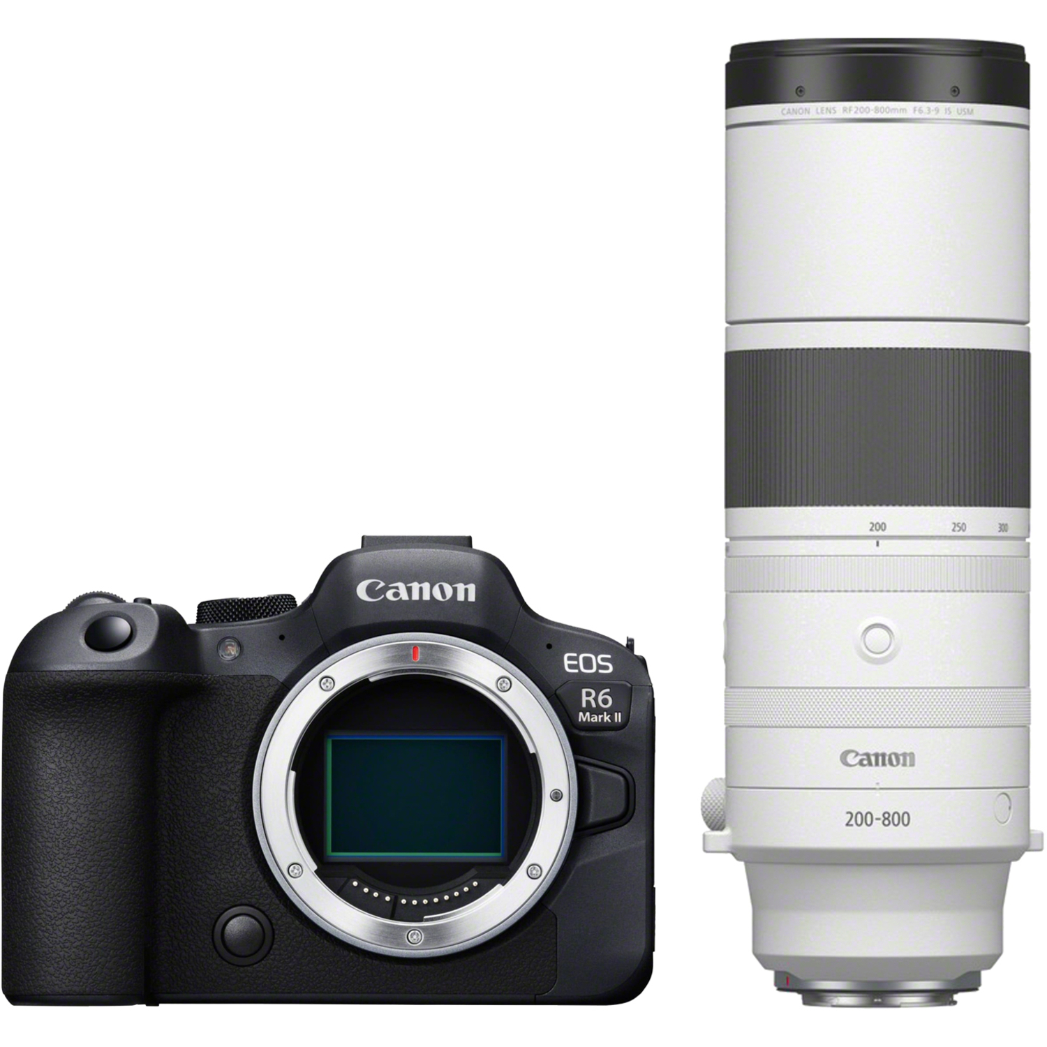 Canon EOS R6 Mark II mit RF 200-800mm F6.3-9 IS USM