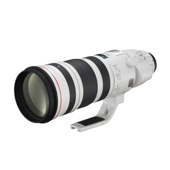 Canon EF 200-400mm F4L IS USM 1.4x Extender