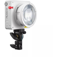 GODML100BKIT1 Godox ML100Bi Bi-Color LED Videol Light Kit 1