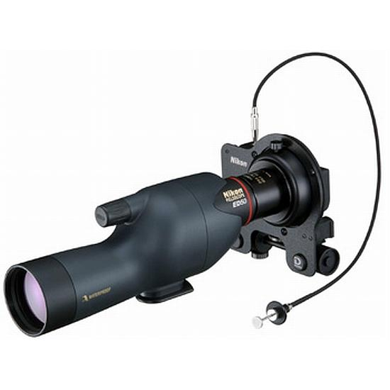 Nikon Fieldscope 50 ED anthrazit