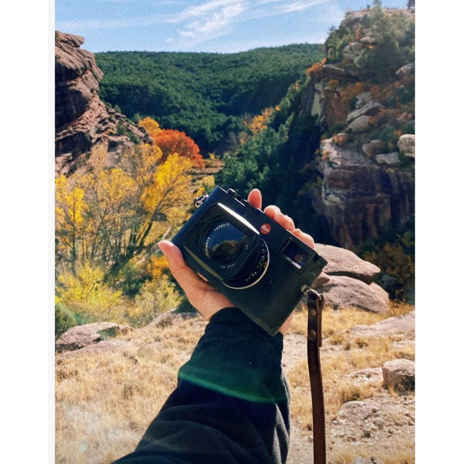 Bronkey Kameragurt Berlin #102 Leder 95cm braun